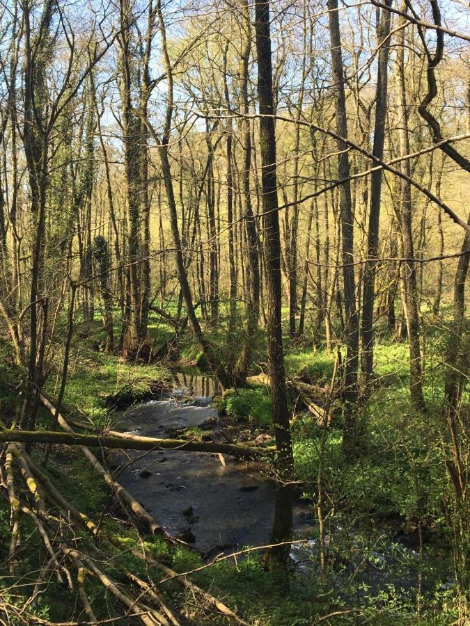 Ferienwohnung Ravelblick Roetgen Esterno foto