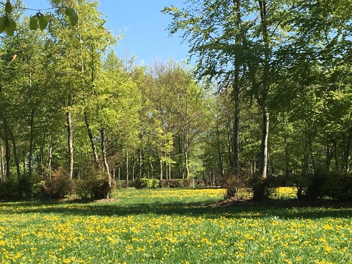 Ferienwohnung Ravelblick Roetgen Esterno foto