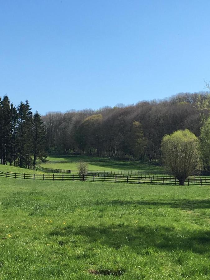 Ferienwohnung Ravelblick Roetgen Esterno foto